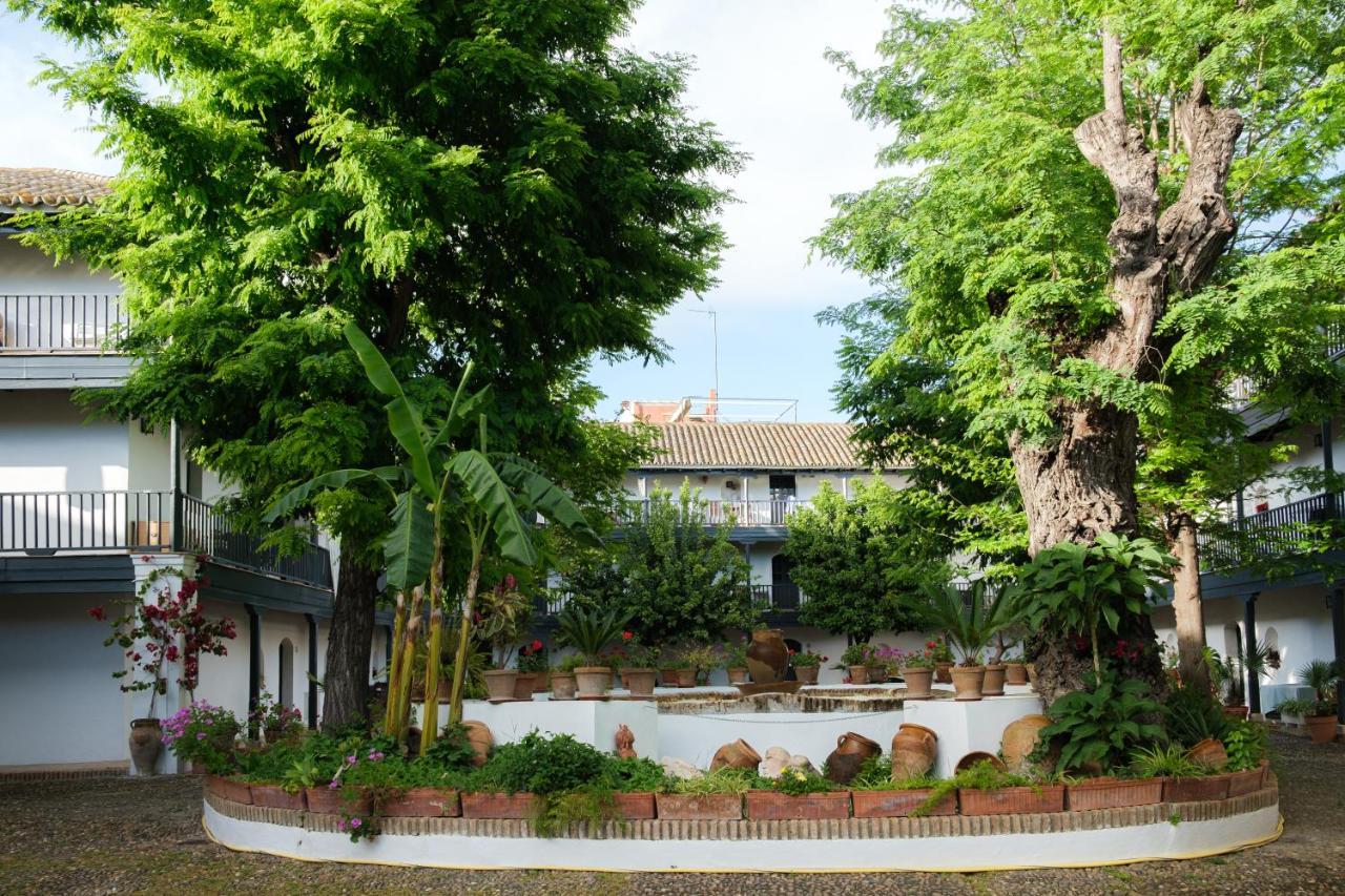 Vista Corral Del Conde — Fotos 1